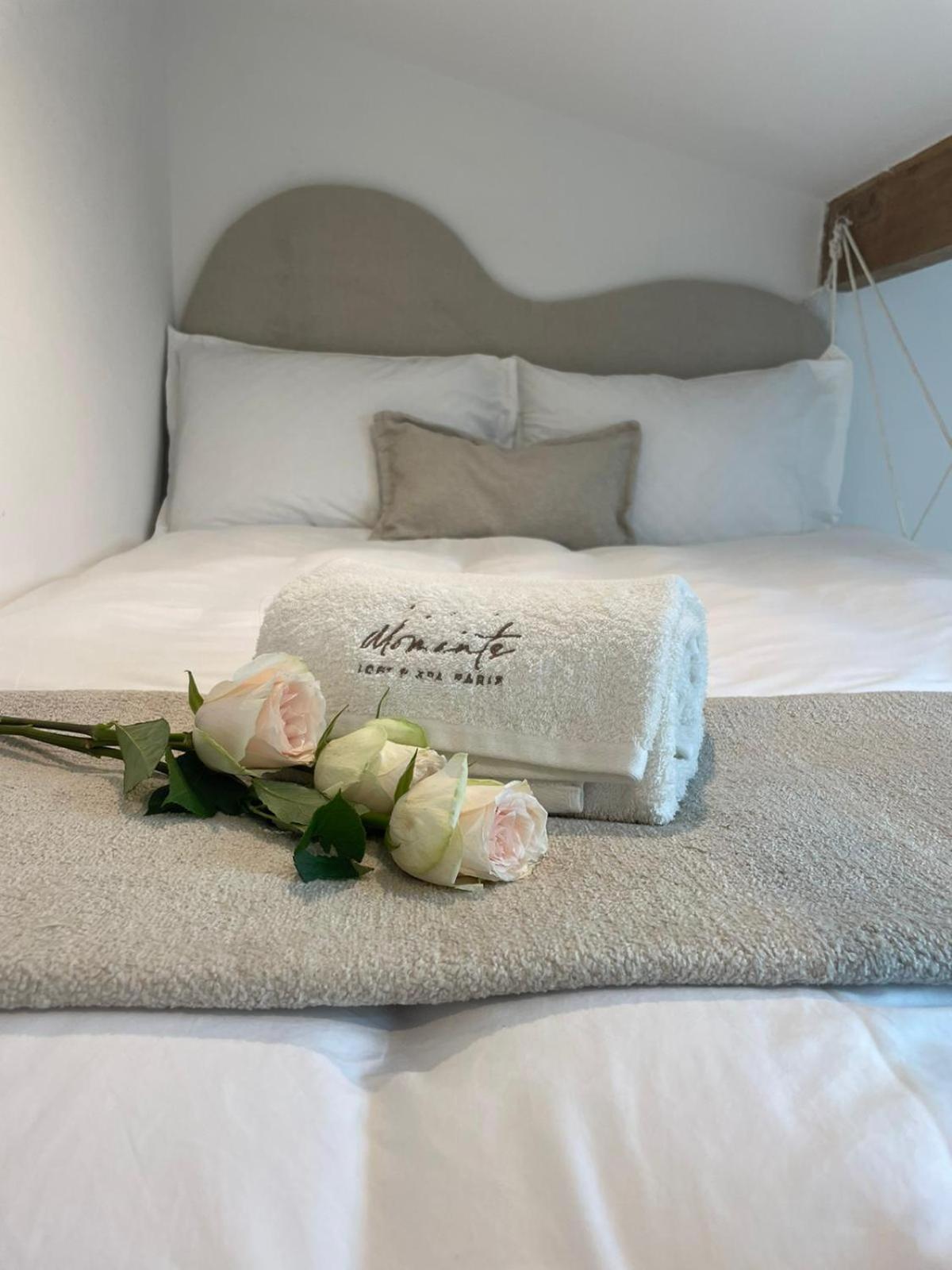 Moments Loft & Spa Paris Montesson Eksteriør billede